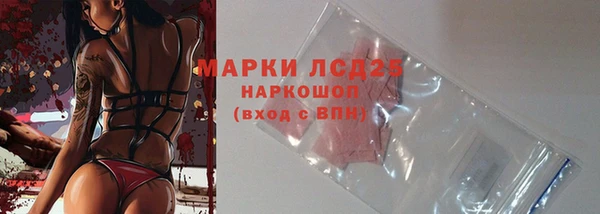 дмт Абаза