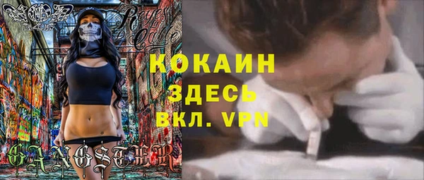 дмт Абаза