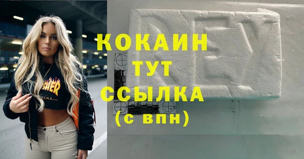 дмт Абаза